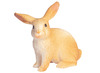 Dieren-erf