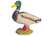 Dieren-erf