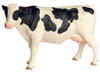 Boerderij-dieren-groot 6 ass.