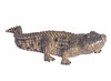 Dieren-wild-groot