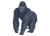 Dieren-wild-groot
