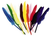 Veren - indianenveren 35 cm 12 ass