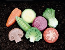 Outdoor - sensorische groenten 8st