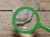 Stempels - kleistempels - Yellow Door Let's Investigate Fossils - fossielen - boetseren - zand en water - steenmix - 8 x 9 cm - set van 8
