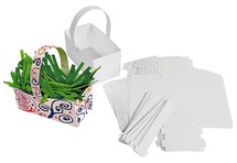 Mand - karton - vouwbaar - set van 20