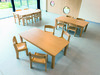 Tafel Standaard, Rechthoekig 120X60 Cm