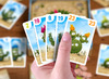 Spellen - Haba - King Cactus - per spel