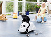 Fiets - loopfiets - Vikingtoys - ride-on - panda - per stuk