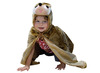 Kleding - verkleedkledij - verkleedcapes - fee, lieveheersbeestje, koning, olifant en meer - set van 13 assorti
