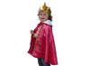 Kleding - verkleedkledij - verkleedcapes - fee, lieveheersbeestje, koning, olifant en meer - set van 13 assorti