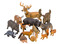 Dieren - Wouddieren 15st
