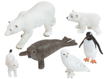 Dieren - Pooldieren