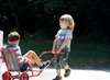 Trekkarren - Winther Mini Viking Rickshaw - handtrekwagen - per stuk