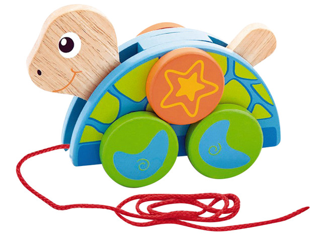 Trekdiertje - Viga - Trekschildpad - Per Stuk
