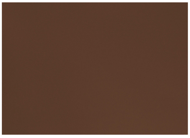 Knutselpapier - Folia - 50 X 70 Cm - 130 G - Bruin - Set Van 10