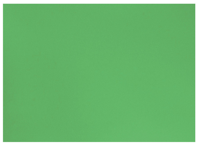 Knutselpapier - Folia - 50 X 70 Cm - 130 G - Groen - Set Van 10