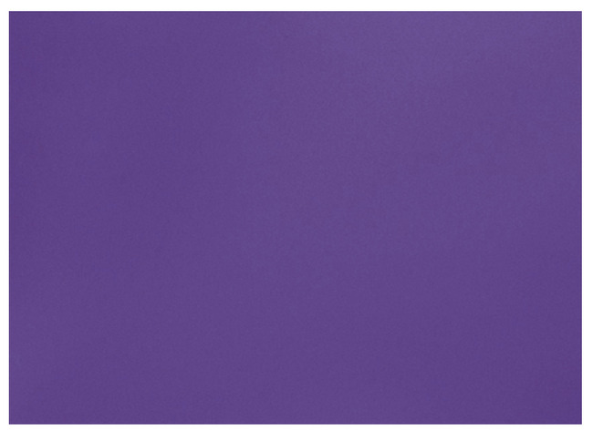 Knutselpapier - Folia - 50 X 70 Cm - 130 G - Violet - Set Van 10