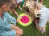 Bewegingsmateriaal - Kleuren Zoekspel - Activity Islands - per spel