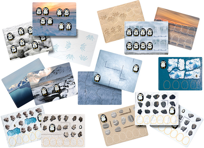 Spel - Programmeerspel - Yellow Door Pre-coding Penguin Activity Cards - Pinguïn - Opdrachtkaarten Voor Xg9051 - Set Van 16 Assorti