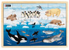 Puzzel - Dieren Van De Wereld - Set Van 4