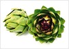 Herkenningsfotos - voeding
