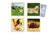 Puzzels - Dieren En Hun Familie Set/4
