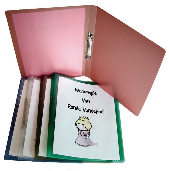 Ringmap - 2 Ringen - Personaliseerbaar - A4 - Rug 2 Cm - Doorschijnende Pp - Per Stuk