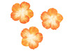 Stickers - washi stickers - bloemblaadjes - oranje - per stuk