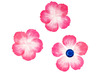 Stickers - washi stickers - bloemblaadjes - roze - per stuk