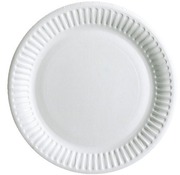 Karton - borden - rond - klein - 15,5 cm - set van 100