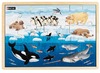 Puzzel - Dieren Van De Wereld - Set Van 4